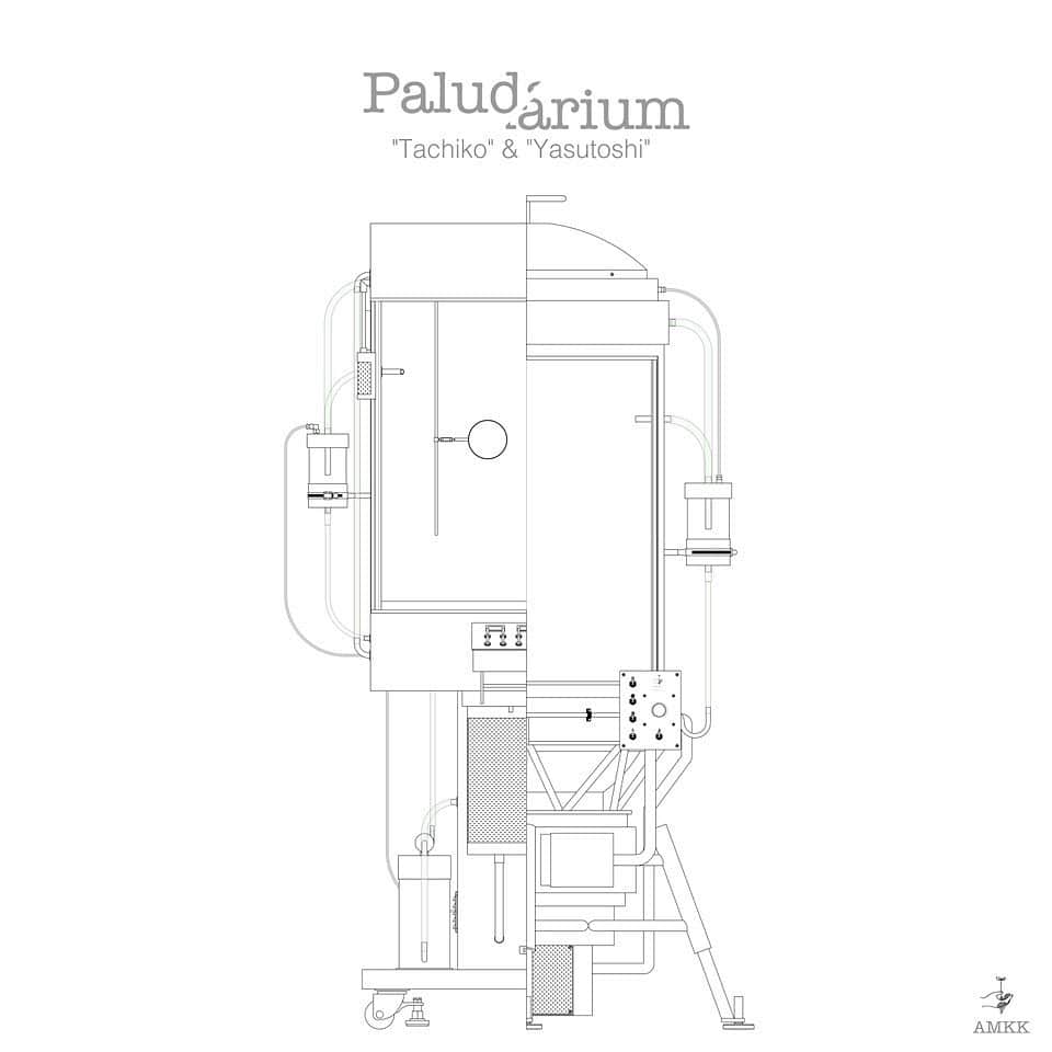 のインスタグラム：「AMKK「 Paludarium Tachiko & Yasutoshi 」 日時：2020年12月12日 - 2021年1月31日 場所：Stand By 渋谷区神宮前5-11-1 開館時間： 10:00 - 19:00 閉館日：火曜日 & 2020年12月28日 - 2021年1月5日  2020年12月12日(土)より、AMKKの個展「Paludarium Tachiko & Yasutoshi」を開催いたします。 「Paludarium」シリーズはAMKKの精神を濃く吹き込んだ作品のひとつです。植物を外気から守り成長を促進させるパルダリウム（温室）を新たに解釈したこの作品群は、本来のパルダリウムが由来する19世紀イギリス貴族の観賞用や娯楽として用いられたものとはまた異なる、現代が誇る文化やテクノロジーに沿った、そして一種の反立を含めた作品群となります。  これまでのAMKKのクリエイティブ思想とStandByの現実から切り離されたかのような空気が交わり、よりソリッドで奥行きを持ったインスタレーションとして完成した空間。貴重なこの機会に是非足をお運びください。  ーーーーーー  AMKK ‘Paludarium Tachiko & Yasutoshi’ December 12, 2020 - January 31, 2021 Place : StandBy @s_tandby 5-11-1, Jingumae, Shibuya-ku, Tokyo Hours : 10:00 - 19:00 Closed : Tuesday & 28th Dec 2020 - 5th Jan 2021  StandBy is pleased to present ‘Paludarium Tachiko & Yasutoshi’, a solo exhibition by AMKK, opening on Saturday, December 12, 2020. ‘Paludarium’ is a series of works that is deeply imbued with the spirit of the AMKK collective. The installation derives its name and design from the ‘Paludarium’; a structure that protects plants from the elements and promotes their growth, and the cultivation of which was a popular pastime amongst British aristocrats in the 19th Century. This installation provides a new interpretation of the Paludarium, bringing it up to date with contemporary culture and fusing it with modern technology and a sense of rebellion.  Playing with the tension between the atmosphere of StandBy’s uniquely surreal space and the creative ideas of AMKK; ‘Paludarium’ is a solid installation with great depth of meaning. We hope you take this opportunity to visit.  @azumamakoto @shiinokishunsuke @amkk_project @s_tandby #amkk #azumamakoto #shiinokishunsuke #StandBy #東信 #椎木俊介 #東信花樹研究所」