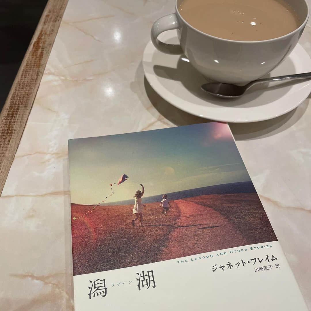 松田青子のインスタグラム：「ちょっとずつ読んでいる。  #janetframe」