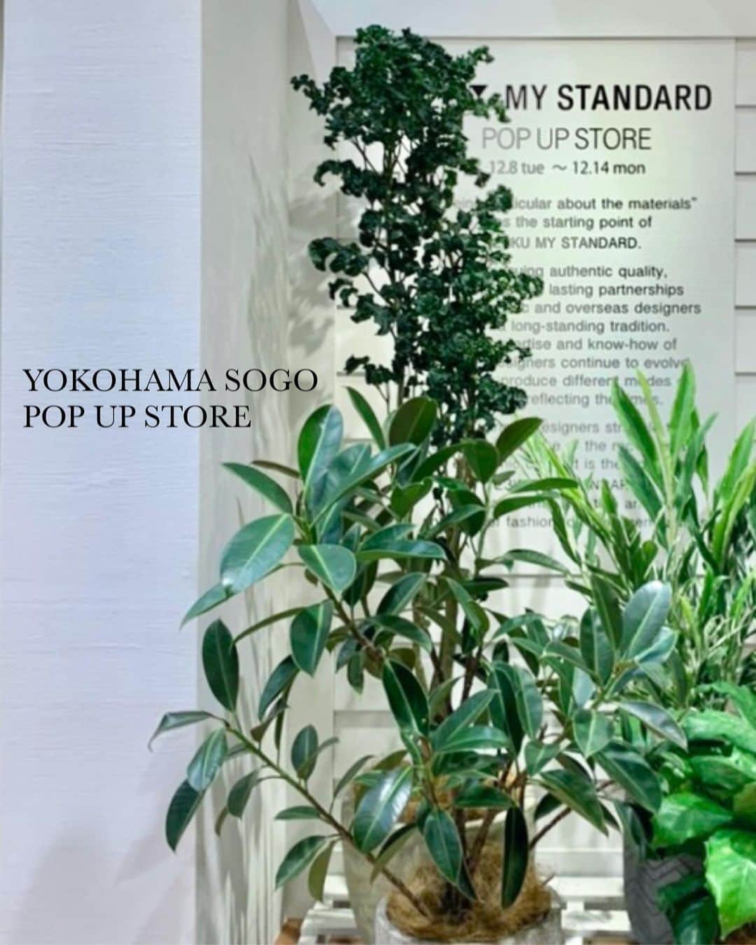 23区のグルメインスタ