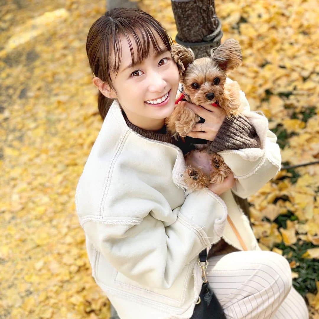 筒井萌子のインスタグラム：「*  うに🐶と銀杏並木デート❣️  YouTube見てください🤗💕 チャンネル登録もよろしくね⭐️ バーディーパットみてねー😚 ・ #筒井萌子 #女優 #actress #モデル #model #岡山 #youtube #もえちゃんねる　 #shooting #instagood #instalike #converse #撮影 #followme #instalike #ゴルフ #ゴルフ女子 #ゴルフコーデ #골프 #좋아요반사 #좋아요그램 #좋아요환영 #데일리그램 #패션 #오오티디 #카페」