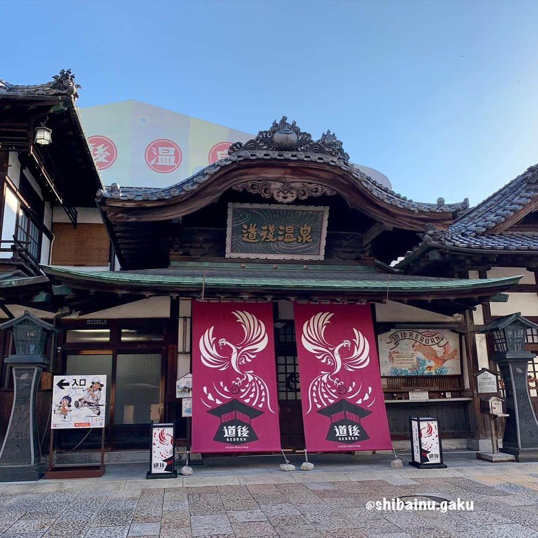 Kazumi-Gakumamaさんのインスタグラム写真 - (Kazumi-GakumamaInstagram)「岳は愛媛県松山市の道後温泉に来ています🗾♨️🐕 *  これから関西方面に向かいま~す🚗💨 *  写真は2020.12.04📷 🐾----*----*----*----🐾 Shiba Inu Gaku went to Dogo Onsen in Matsuyama City, Shikoku🗾♨️🐕 🐾----*----*----*----🐾 #柴犬 #岳 #柴犬岳 #柴犬ガク#gaku #shibainugaku #shiba #shibainu #shibastagram #いぬすたぐらむ #dogsofinstagram #catoftheday  #pecoいぬ部 #pecotv #ワンフルエンサー  #Hermoso #weeklyfluff #🐕📷 #dailyfluff #道後温泉 #道後温泉駅 #道後温泉本館 #坊ちゃん列車 #四国中国近畿の旅 #20201208」12月8日 15時58分 - shibainu.gaku