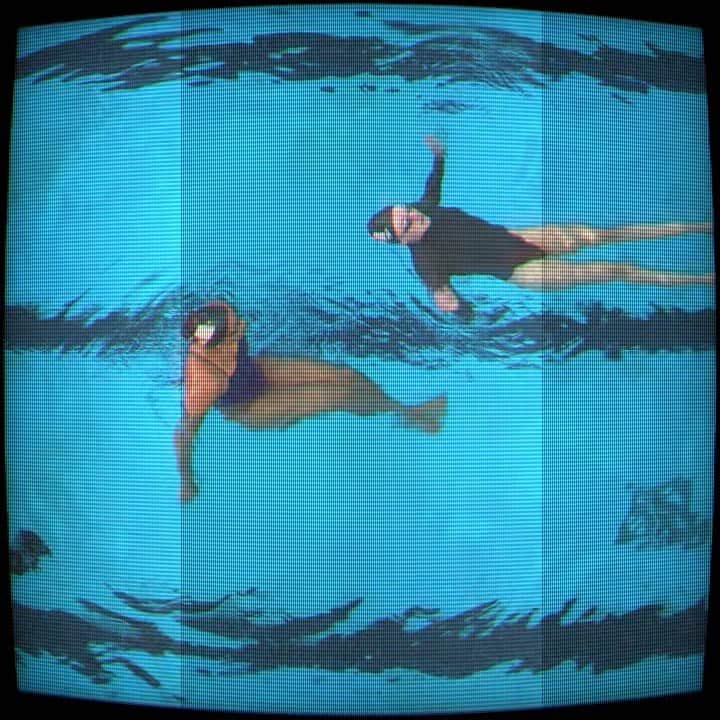 アンドレア・フエンテスのインスタグラム：「It’s actually cool from the top as well @anitaaalvarez @lindimschroeder 💦 @artswimusa @usaartisticswimming」