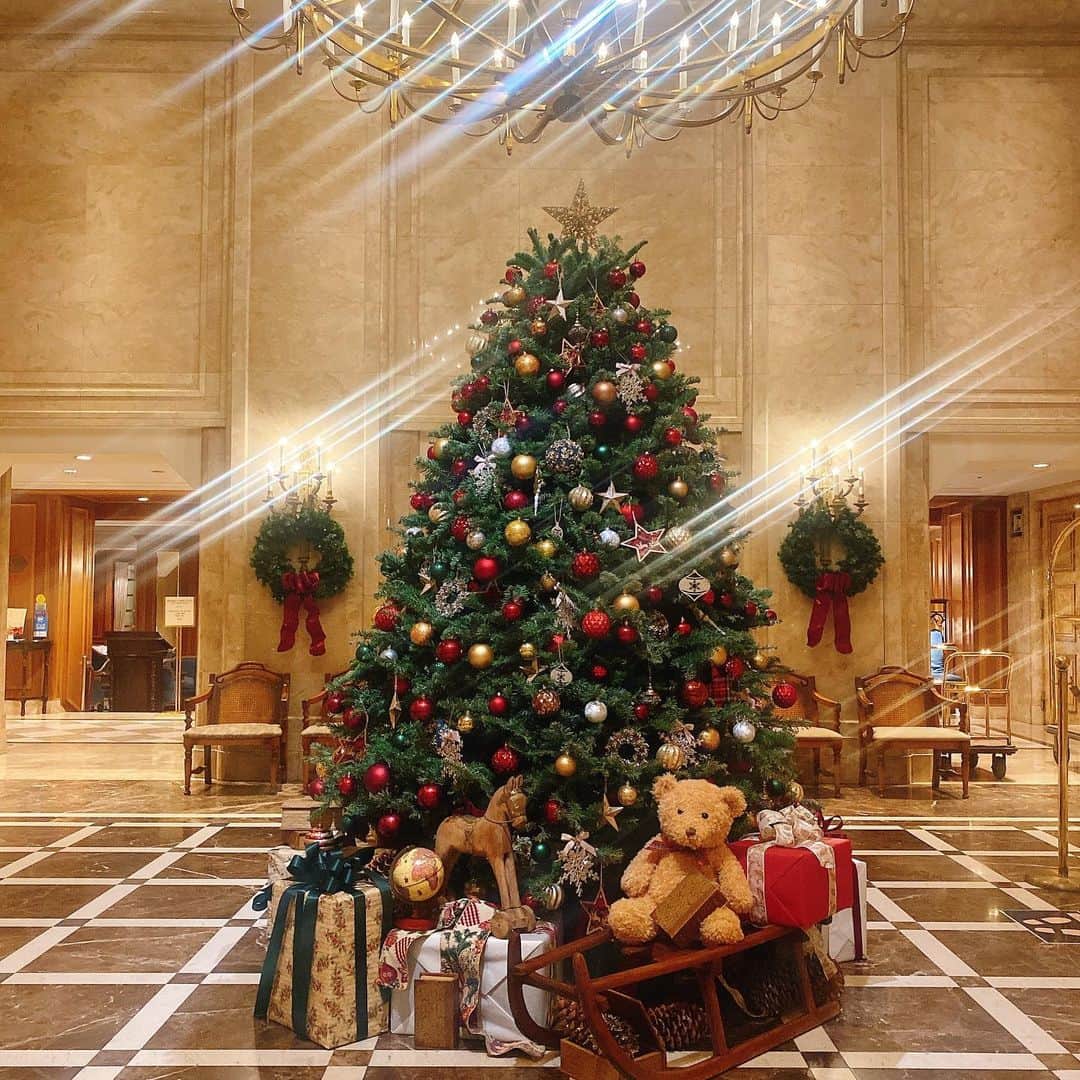 里井真由美さんのインスタグラム写真 - (里井真由美Instagram)「#christmas  ホテルニューグランドさんのクリスマスイルミネーション 満喫中でございます〜 @hotelnewgrand   「ラ・テラス」でのストロベリーアフタヌーンティーも、 1階 「カフェ」で頂くいちごパフェもおいしいです♡  庭園のイルミネーションも素敵だし、 入口のクリスマスツリーは 本物のモミの木❗️香りも良きです♡  2階ロビーのクリスマスツリーもアットホームな感じで とっても可愛い♡  ずっといても飽きない〜 笑 おいしく楽しいクリスマスになりますよ✨🎄🎄✨🎄🎄🎄  #ホテルニューグランド #横浜#クリスマス#クリスマスツリー #ホテルアフタヌーンティー#afternoontea #里井真由美#フードジャーナリスト里井真由美」12月9日 1時49分 - mayumi.satoi