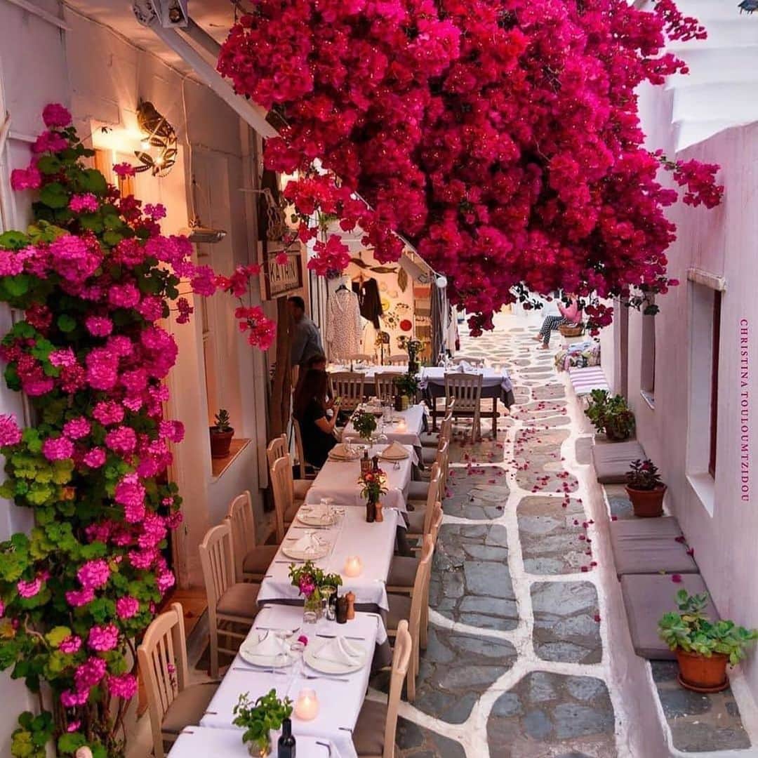ニコール・ミッチェル・マーフィーのインスタグラム：「Mykonos Greece.  Girls trip when things are back to normal.」