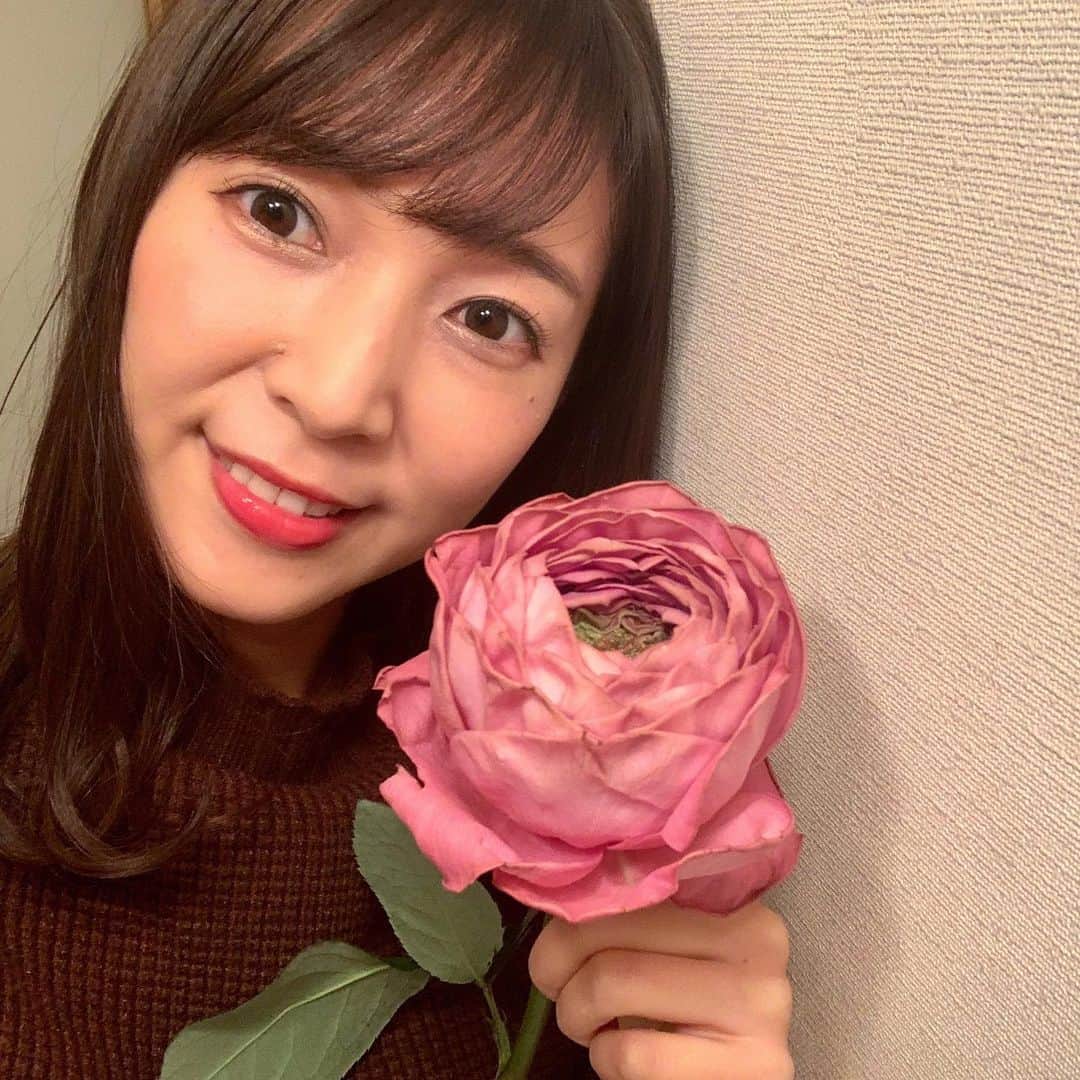 小野澤玲奈のインスタグラム：「目標をオーバーして きょうはかなり遅くなってしまった。。  冷蔵庫に眠る和牛とメロンよ、 明日こそ食べるね🥺  大好きなやぎバラに癒されながら コラーゲン飲んで(重要) 寝ます🌹✨✨  #やぎバラ育種農園 #やぎバラ #ヴァーズ  #フラワーオブザイヤー  #🌹#バラ #ワンフラワー #flowers  #hibiyakadanstyleasty静岡店  #shizuokalife  #働きマン」