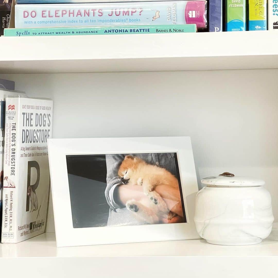 Ella Chuffyのインスタグラム：「Temporary frame until mommy can find the “suitable”one for me 🥰  #ellachuffy #love #ashurn」