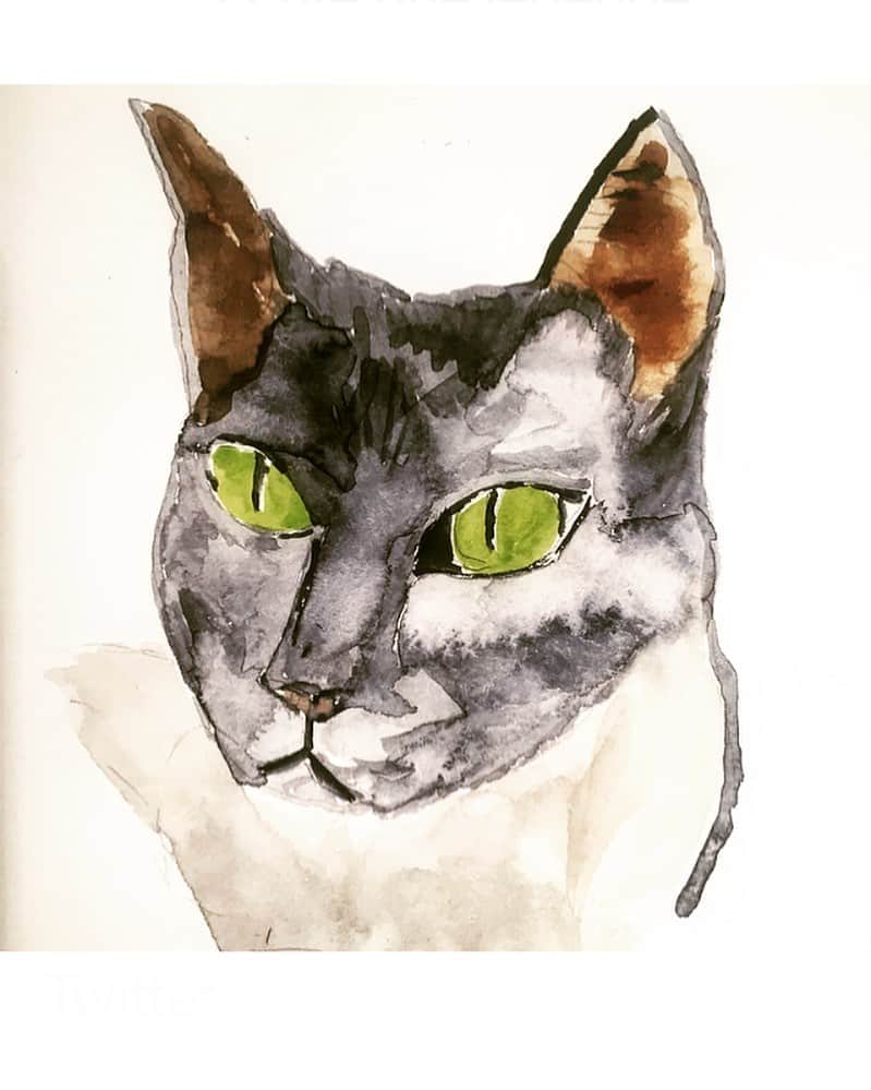 エマニュエル・ベアールのインスタグラム：「Mon chat adoré qui s’en va petit à petit ...my beloved cat who goes away little y little. 😥 🎨 #byme」