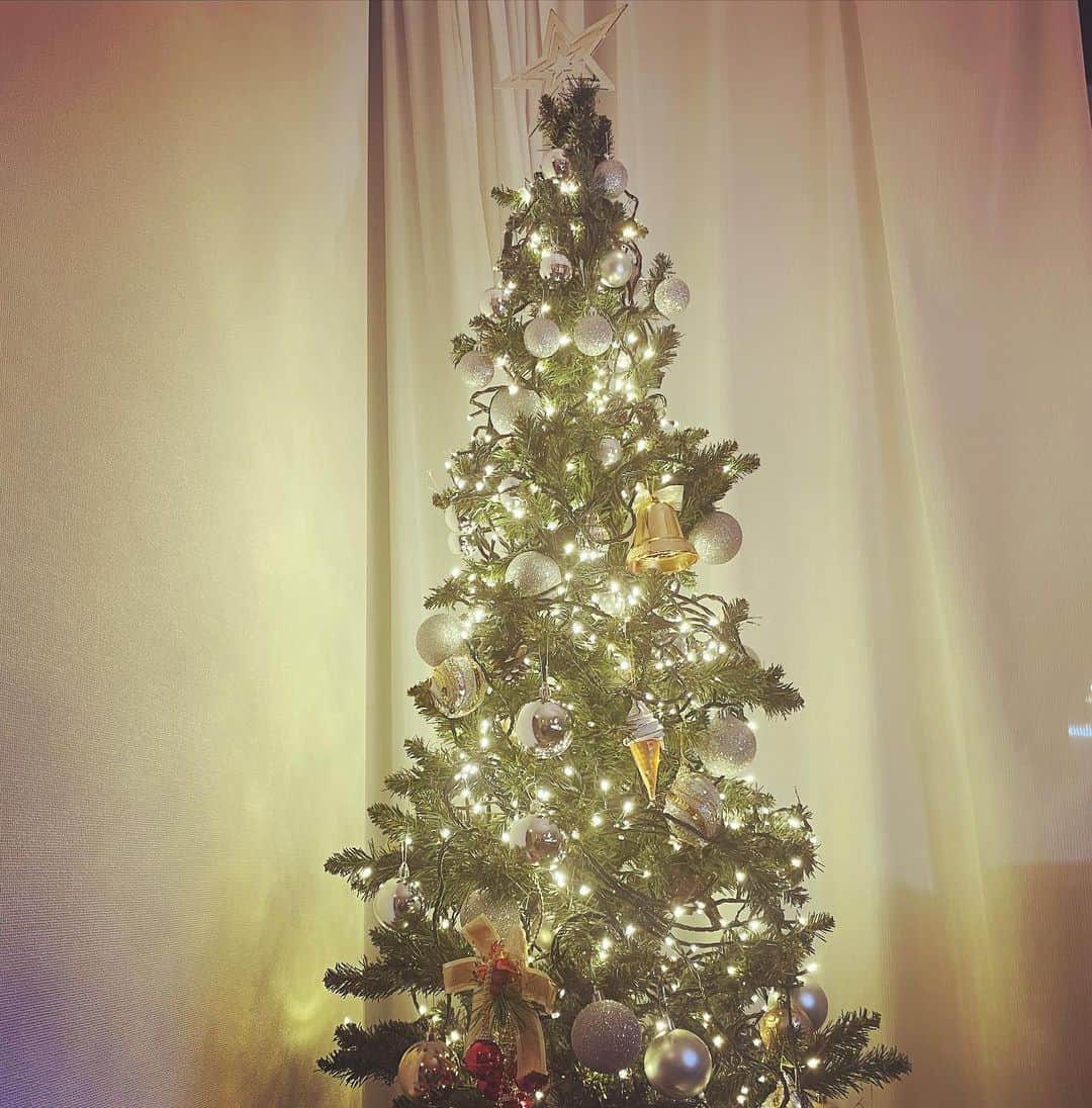 古市憲寿のインスタグラム：「今年のクリスマスツリーは、ほぼ電気コード。」