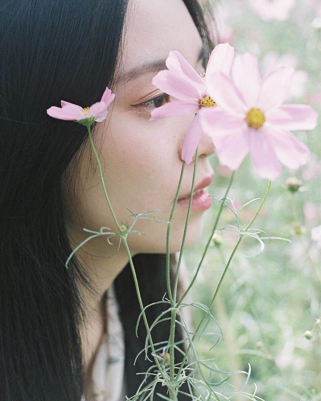 haru wagnusのインスタグラム：「Nagori  ㅤㅤㅤㅤㅤㅤㅤㅤㅤㅤㅤㅤㅤ ㅤㅤㅤㅤㅤㅤㅤㅤㅤㅤㅤㅤㅤ #icarex35s  #fuji400h」