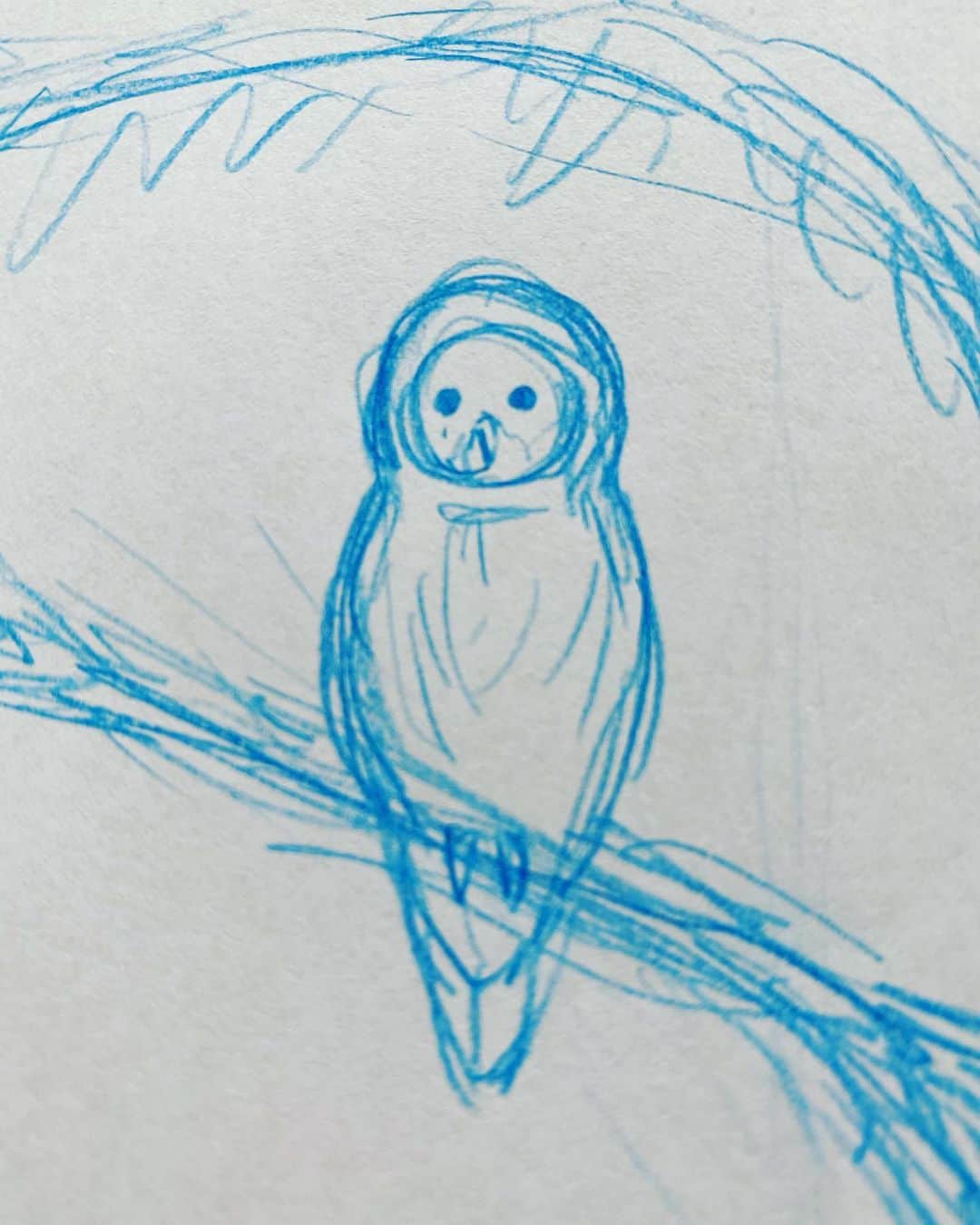 D[di:]のインスタグラム：「わたしのラフ書きがひどいのには定評があります  #ふくろう #だるまじゃないよ #ラフ書き #クライアントさんの理解とイメージ力が問われる #いつもご理解ありがとうございます #ようやく手が動くようになってきました #しかしまだ手首に違和感 #いつも以上に描くの時間かかるなう #手が仕事道具 #身に染みた　 #art  #animalart #animalillustration  #owl #福が来るろう #ラビリンスのデビッドボウイのイメージ」