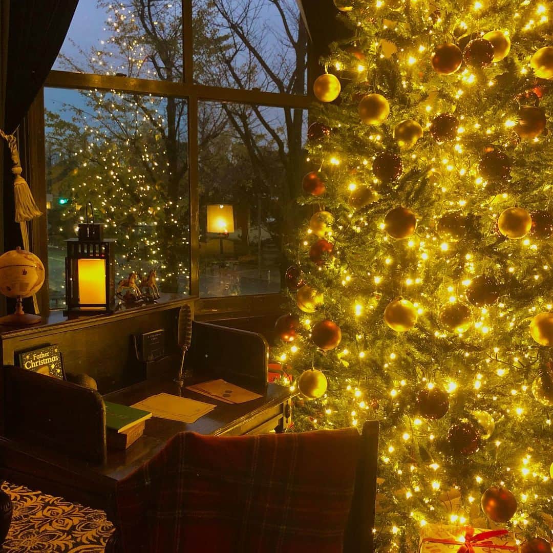 【公式】ホテルニューグランドさんのインスタグラム写真 - (【公式】ホテルニューグランドInstagram)「＊ 館内外の煌めくイルミネーションを散策した後は、シャンパン・オードブル・ケーキで華やかに乾杯。 大切な方とロマンチックなひとときをお過ごしください。  https://bit.ly/2IrjoGx   #ホテルニューグランド #横浜ホテル #クリスマス #クリスマスツリー #イルミネーション #横浜 #ヨルノヨ #横浜イルミネーション #クリスマスケーキ #シャンパン #クリスマスオードブル #予約受付中 #宿泊 #デート #イルミネーションデート #街歩き #夜景 #クラシックホテル #年に一度 #ご褒美 #今年もあと少し #プロポーズ #おうちクリスマス #プチギフト #ホールケーキ #誕生日サプライズ #みなとみらい #hotelnewgrand #yokohama #date」12月8日 19時37分 - hotelnewgrand