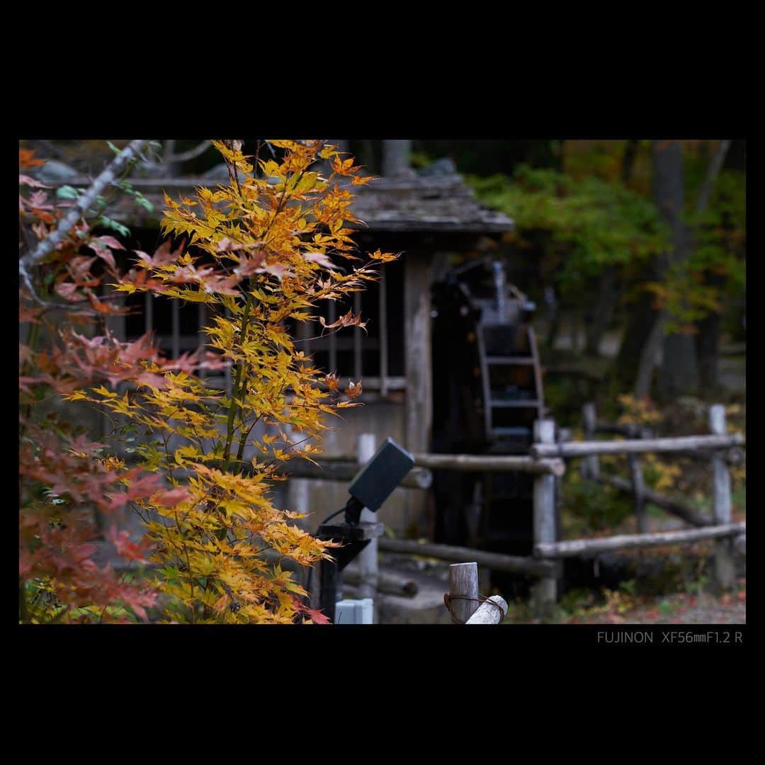 plus_thinkingさんのインスタグラム写真 - (plus_thinkingInstagram)「飛騨の秋 . #beautifuljapan #snapJapan」12月8日 19時37分 - plus_thinking