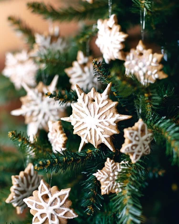 ナイジェラ・ローソンさんのインスタグラム写真 - (ナイジェラ・ローソンInstagram)「Christmas cookie-cutters at the ready? Edible Tree Decorations are #RecipeOfTheDay!  .  And to get the recipe, either go to nigella.com or click on link in bio. What I mean by this, is that you tap on my name, which will take you to a page that has a link on it that says www.nigella.com/instagram. When you click on this link, it will take you to a page of photographs: click on the photograph you want the recipe of, and you will be taken to it! . Photograph by Lis Parsons」12月8日 19時55分 - nigellalawson