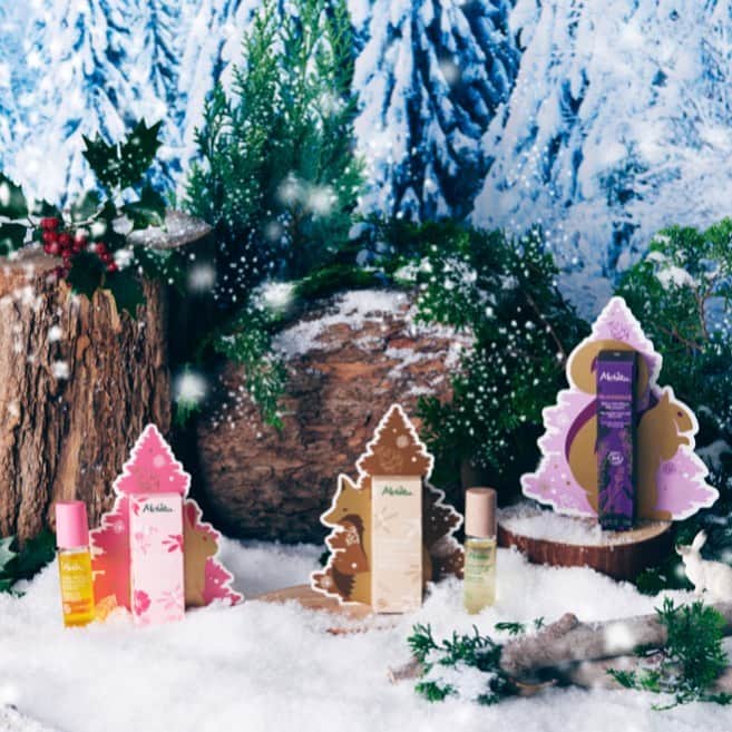 メルヴィータジャポンさんのインスタグラム写真 - (メルヴィータジャポンInstagram)「ちょっとしたプレゼント🎁に、心を込めて 2000円以下で買えるメルヴィータのロールオンアイテム、おすすめします。 この季節だけのスペシャルラッピングは、ギフトにぴったり！ メルヴィータの故郷、フランスアルデーシュの森の動物たちがモチーフです。 ポーチに入れてどこにでも持ち歩けるサイズです。 #タッチオイル #リラクセサンスタッチオイルジェル  #メルヴィータ #melvita #クリスマスコフレ #クリスマスプレゼント」12月8日 20時18分 - melvita_jp