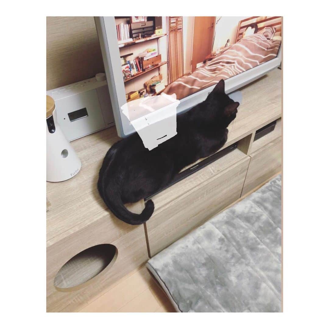 こむぎのインスタグラム：「* 黒いティッシュケース  #遠目に見てね #黒猫ごま味 #ティッシュケース #雑なイラスト #にげはじ #星野源  ウェブショップにてご入金確認できたものだけ今日すべて発送しました🙇🏻 ご協力ありがとうございました🙇🏻✨✨」