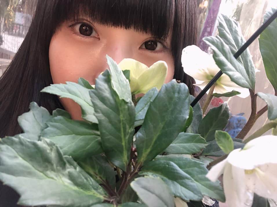 相沢梨紗さんのインスタグラム写真 - (相沢梨紗Instagram)「🌈🐘💠✨✨ . . . #japan #sky #blue #nails #👋 #autumn #autumncolors #🍁#tokyo #refresh #christmasrose #flowers」12月8日 20時31分 - risacheeese