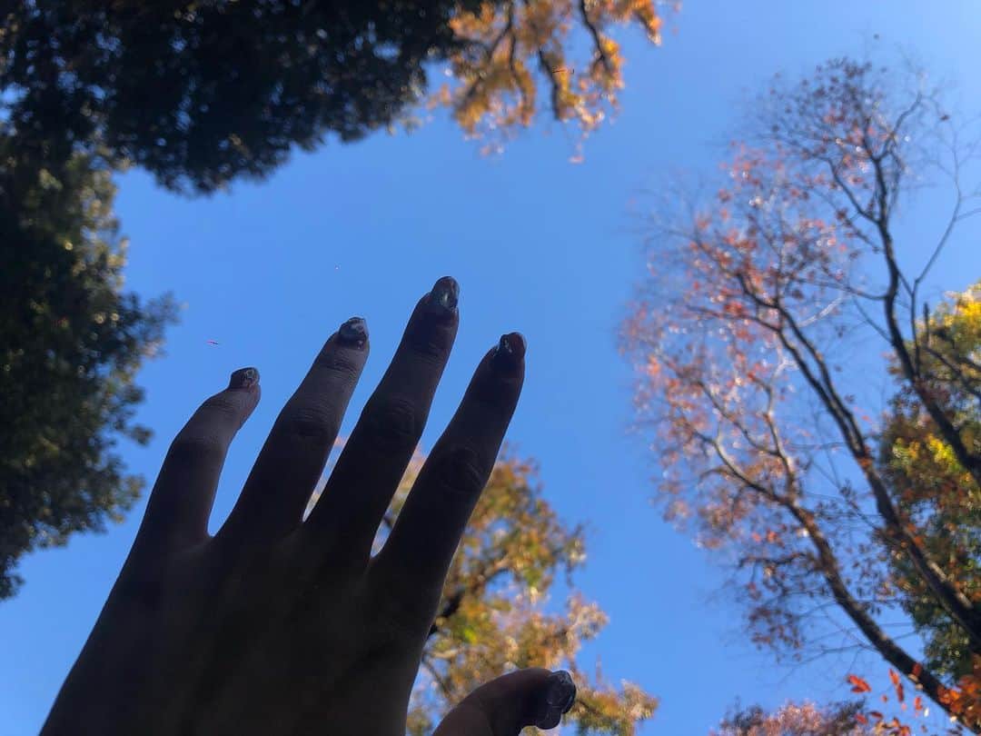 のインスタグラム：「🌈🐘💠✨✨ . . . #japan #sky #blue #nails #👋 #autumn #autumncolors #🍁#tokyo #refresh #christmasrose #flowers」