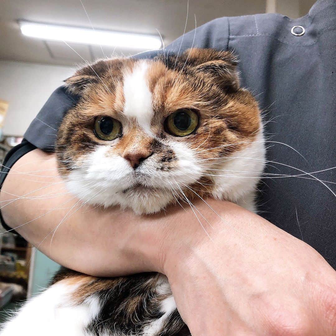 kamunaのインスタグラム