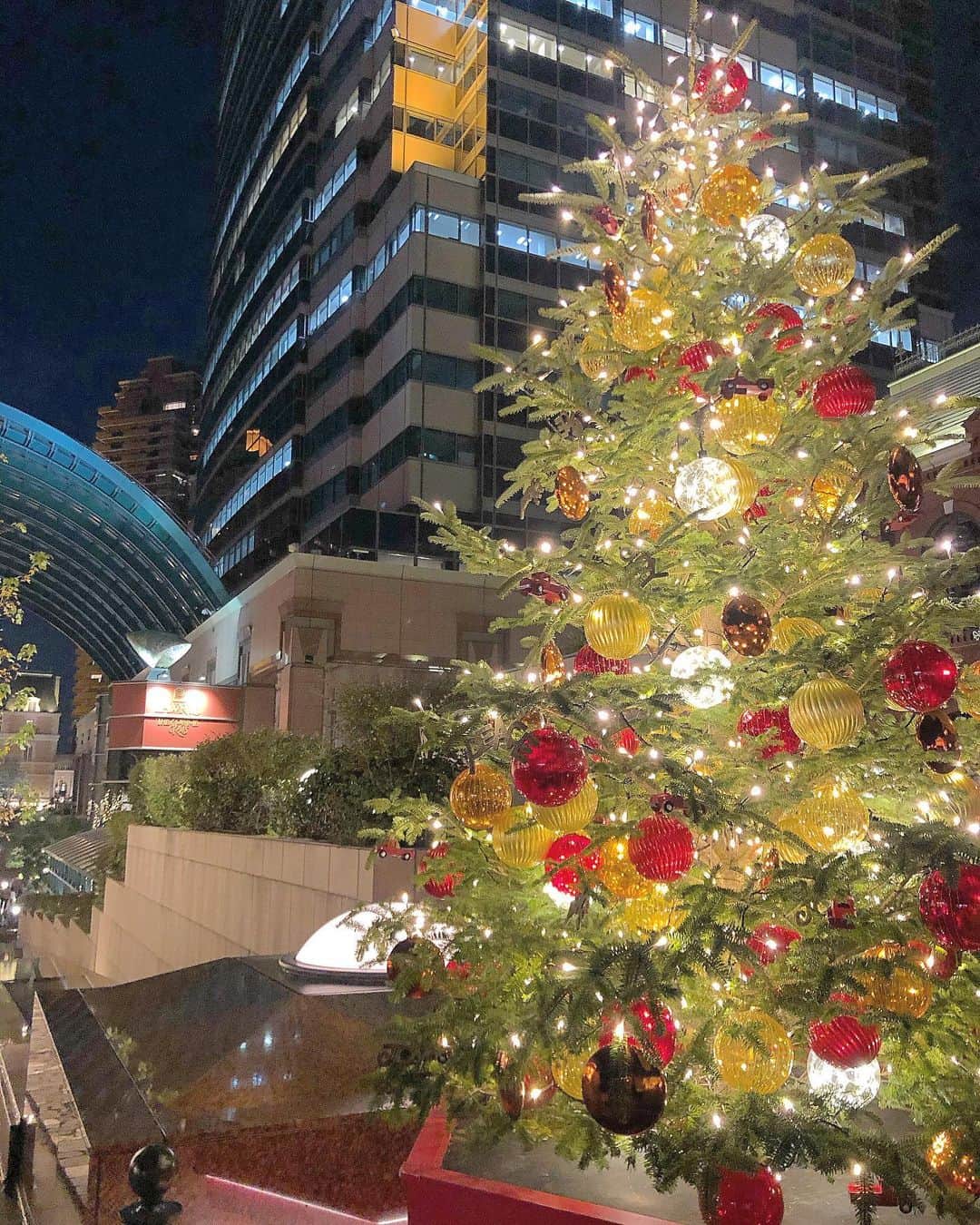 のインスタグラム：「🎄」