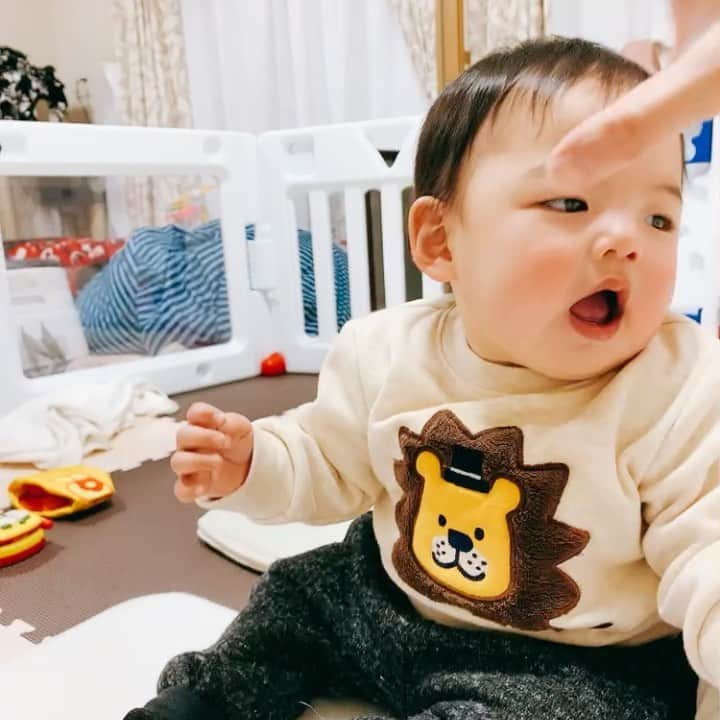 桜 稲垣早希のインスタグラム：「新しい笑いのツボを見つけました。 #生後10ヶ月男の子 #よくカシにやるやつ」