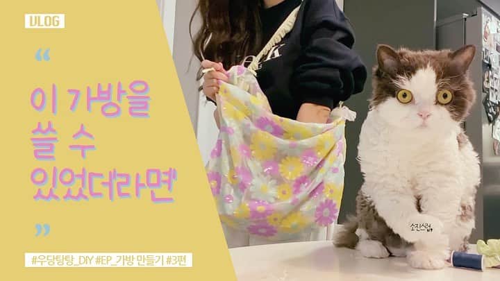 ソジン さんのインスタグラム写真 - (ソジン Instagram)「소진스럽, VLOG DAY5 ! 이 가방을 쓸 수 있었더'라면' 밥이와 함께 손바느질로 가방만든 시간. 지금 바로 소진스럽,유튭 고고😎」12月8日 21時30分 - ssozi_sojin