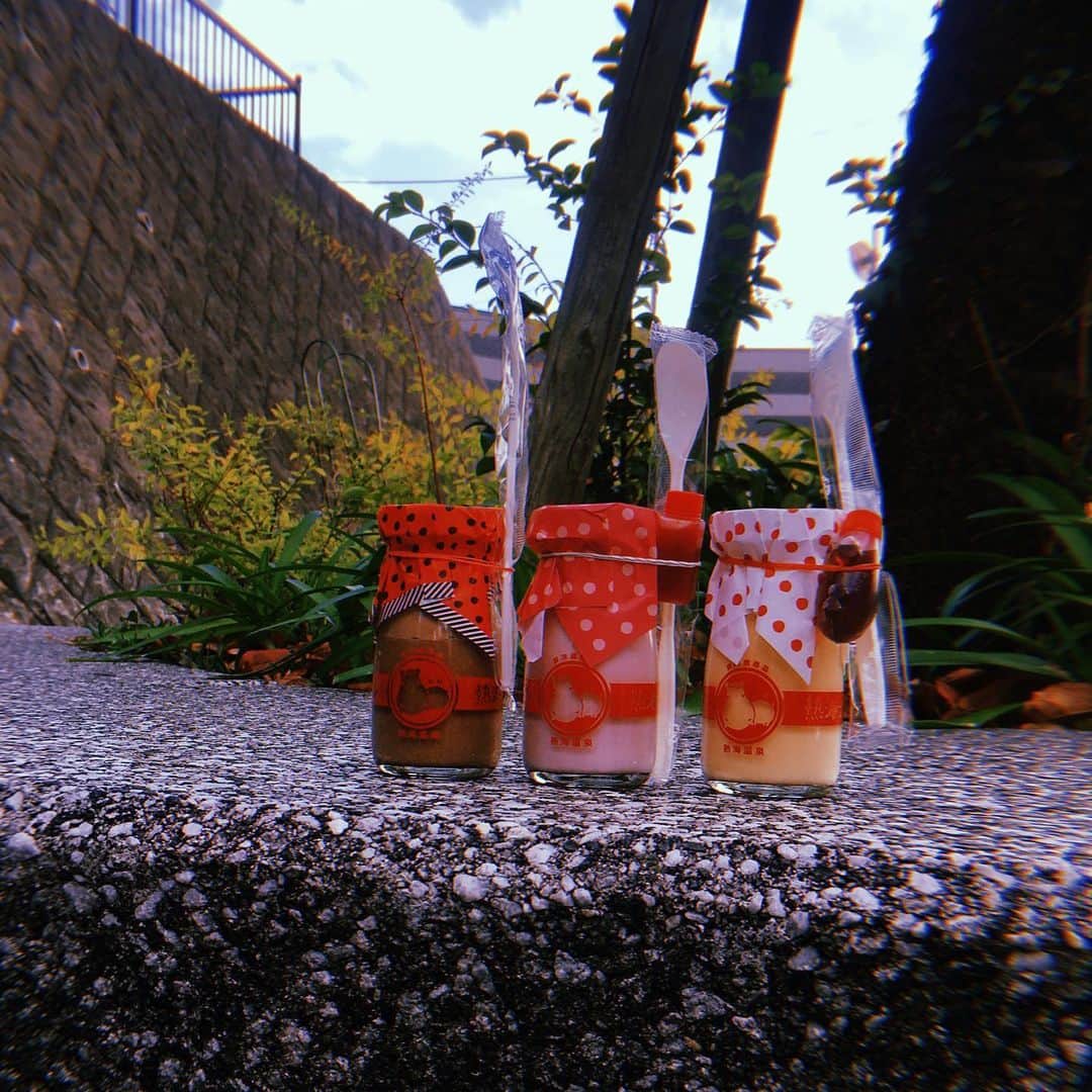 横道侑里のインスタグラム：「念願の熱海プリンも食べたの💓 3種類ともぜーーーんぶ美味しかった😊✨」