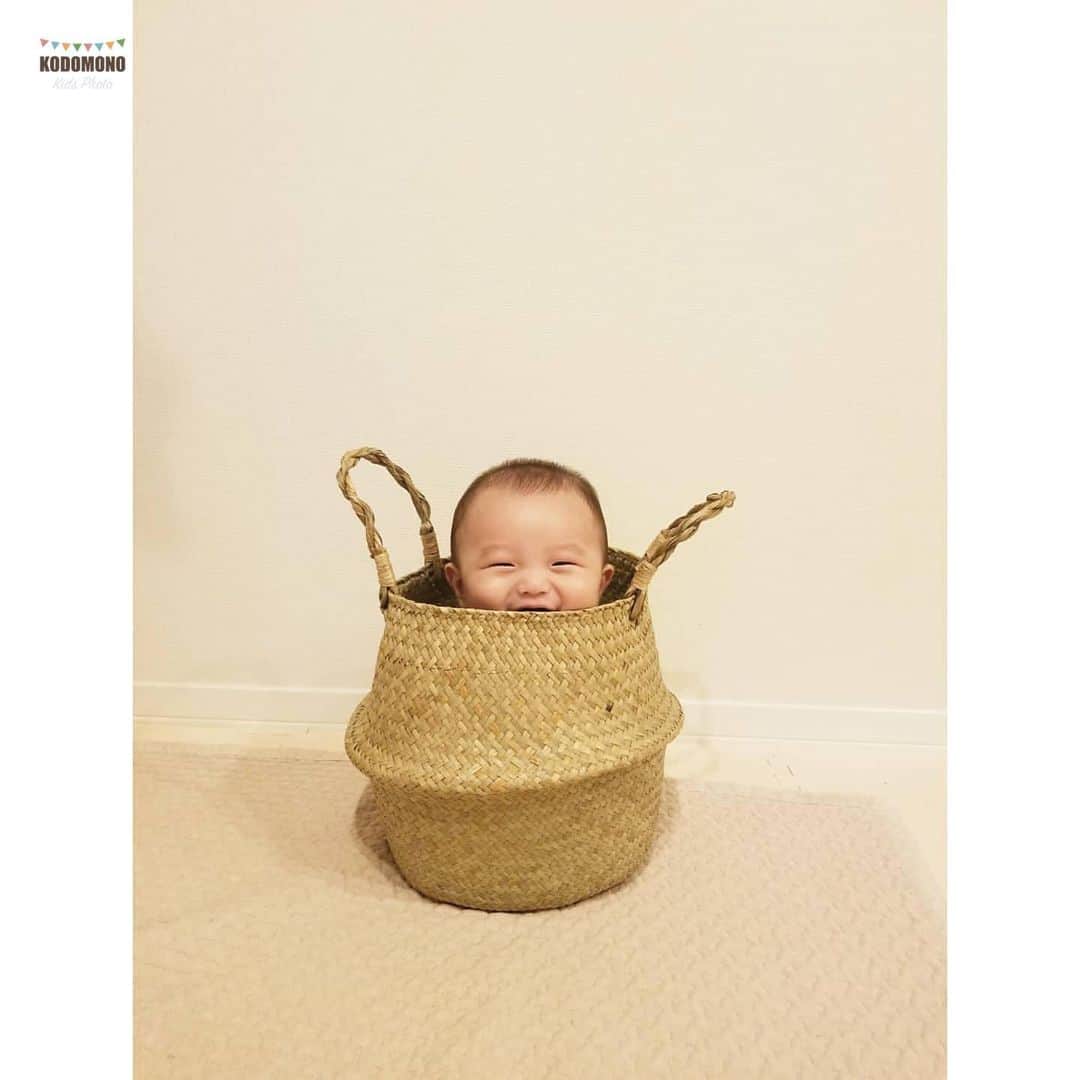コドモノ！写真部のインスタグラム