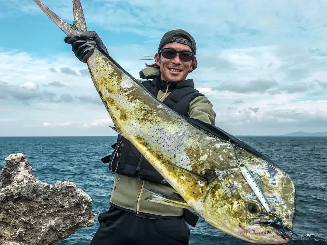 安藝正俊のインスタグラム：「▶︎【本日の釣果~マンザの磯~】  BIG GAME🎣 大物釣っちゃいました😆 ※ボウズを予想したみなさん、悔しがってください🥴  ☆シーラ♂(沖縄名:マンビカー mahi-mahi) ▪️今年2本目 体長:1m 重量:約6kg  曇りで海も白くて見ずらい状況だったけど @zeque_by_zeal のレンズが海中を抜群に見やすくしてくれたのでシーラの魚影を発見できました👏 信頼のコルトスナイパーXRで挑んだので フッキング後はゴリゴリのパワー勝負で、ショアからの今シーズンベストフィッシュをGET🎣  命を頂くなら、最後までしっかり食すこと！  という事で、下処理後は 行きつけの韓国料理屋( @ren.awase )で捌いて調理してもらい、仲間と美味しく頂きました😊 ・マヒマヒのカルパッチョ ・シーラの韓国風煮込み ※蓮のママ料理の天才みたいです、美味すぎる👏  釣って楽しかったし、みんなで食べれて美味しかったし 今日も良い休日でした 👏  《tackle data》 ・rod @shimanofishing_jp  COLTSNIPER XR S100XH-3  ・reel @daiwa_japan  BG 5000H  ・line PE 3.5号　leader 50lb   《apparel》 @zeque_by_zeal  STELTH  MADBLACK / TRUEVIEW : #沖縄 #沖縄移住 #沖縄好きな人と繋がりたい  #休日の過ごし方 #海人 #海のある生活  #釣り #釣り好き #釣りバカ #釣り好きな人と繋がりたい  #釣りスタグラム #海釣り #磯釣り #釣果グラム  #偏光サングラス #ライフスタイル #アウトドア #フィッシング #アングラー #ルアーフィッシング  #okinawa #okinawalife  #fishing #fishinglife  #fishingday  #lurefishing  #goodvines #instafish #polarized #polarizedsunglasse」