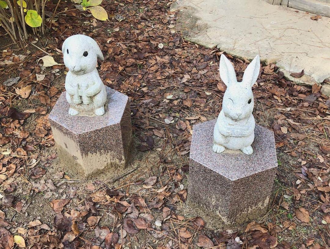 松岡李那さんのインスタグラム写真 - (松岡李那Instagram)「🐰🐰🐰💗💗💗 もっとたくさん着物を着よう👘 心が引き締まる☺️❣️ ・ #因幡の白兎  #兎 #稻羽之素菟  #いなばのしろうさぎ  #出雲大社  #大国主命  #神在月  #神在祭  #着物女子  #着物  #👘 #kimono」12月8日 21時50分 - linahxoxo