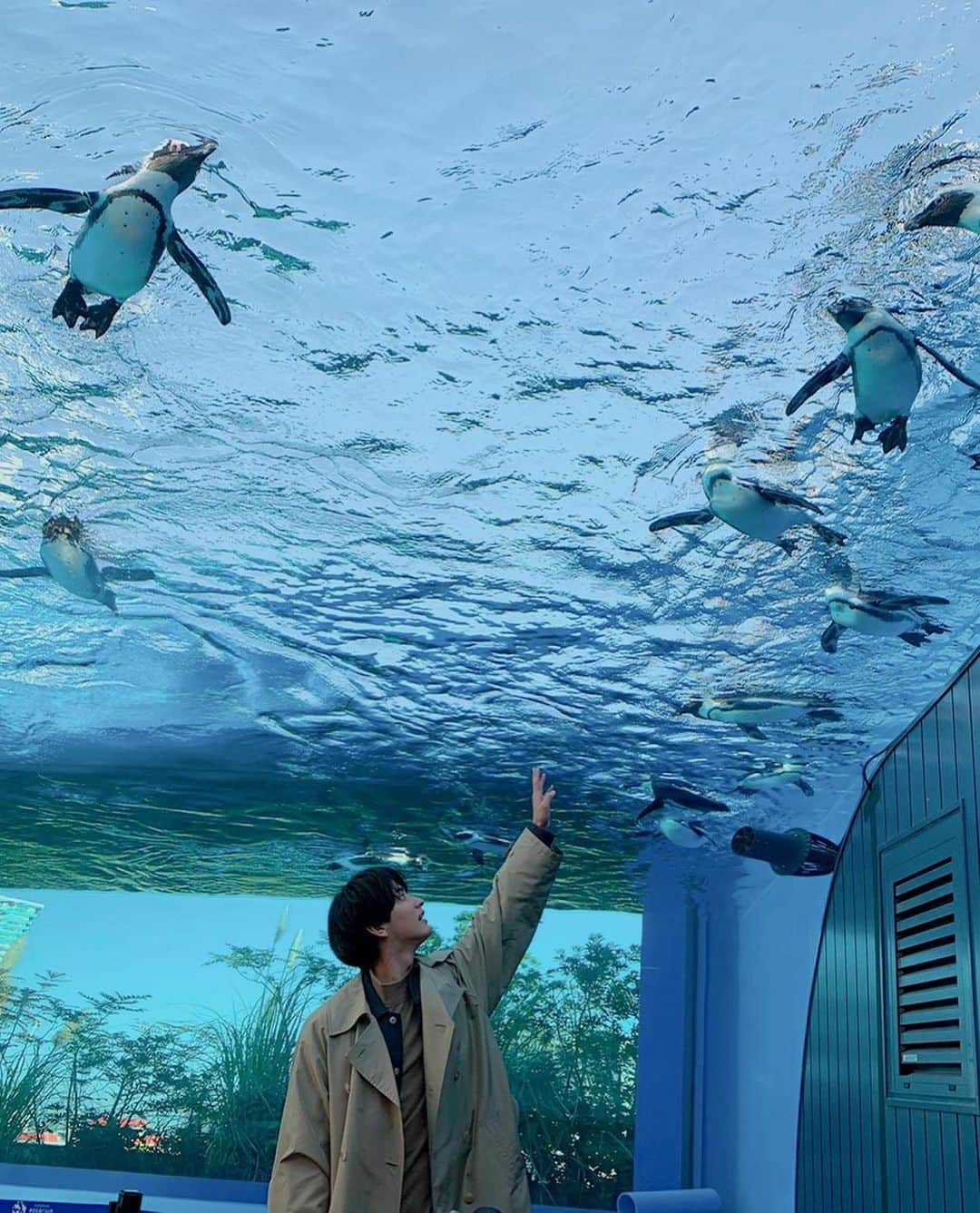 瀬戸利樹さんのインスタグラム写真 - (瀬戸利樹Instagram)「今月号の「DUeT」と「JUNON」に載せていただいているので、よろしくお願いします☺️ #DUeT #JUNON #君は彼方 #サンシャイン水族館　#クラゲかわいいい」12月8日 21時52分 - toshiki_seto_official