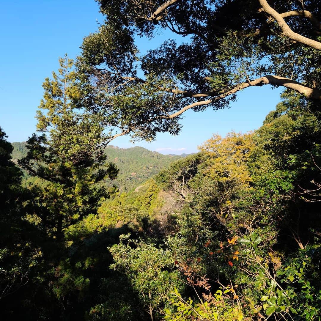 松本康太さんのインスタグラム写真 - (松本康太Instagram)「『花嫁街道を里山ウオーキング(ハイキング)』天気も良く、程よいアップダウンで初心者でも楽しめるコース(13.5㎞)♪標識も沢山あり安心して歩けるところでした！  #ウオーキング #里山ウォーキング #スポーツ #免疫力アップ #千葉県#和田浦 #花嫁街道#黒滝 #鳥場山 #和田浦歩こう会 #ハイキング #レギュラー松本 #あるある探険隊」12月8日 22時12分 - aruarutankentai.matsumoto