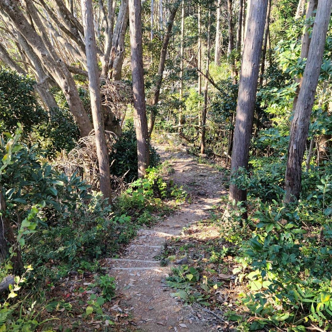 松本康太さんのインスタグラム写真 - (松本康太Instagram)「『花嫁街道を里山ウオーキング(ハイキング)』天気も良く、程よいアップダウンで初心者でも楽しめるコース(13.5㎞)♪標識も沢山あり安心して歩けるところでした！  #ウオーキング #里山ウォーキング #スポーツ #免疫力アップ #千葉県#和田浦 #花嫁街道#黒滝 #鳥場山 #和田浦歩こう会 #ハイキング #レギュラー松本 #あるある探険隊」12月8日 22時12分 - aruarutankentai.matsumoto