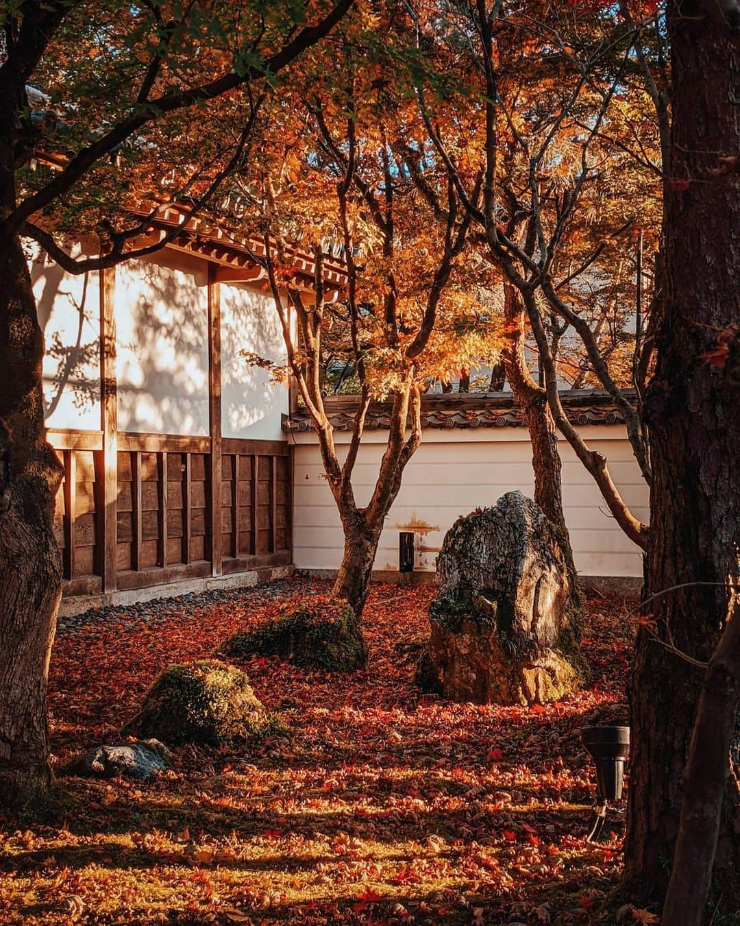 福田洋昭さんのインスタグラム写真 - (福田洋昭Instagram)「やっぱり京都の秋は別格🍁🏯 Easily my favorite season in Kyoto. #googlepixel #Pixelで撮影 #Googleのスマホ #Kyoto #autumn #foliage」12月8日 22時28分 - hirozzzz