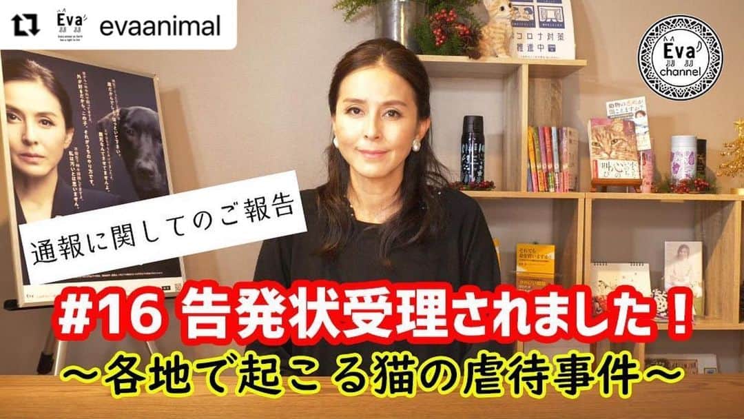 杉本彩のインスタグラム：「#Repost @evaanimal with @make_repost ・・・ 第16回Evaチャンネル「告発状受理されました！」～各地で起こる猫の虐待事件～公開しました！  今回のEvaチャンネルは、皆さまから多くのご連絡をいただきました「名古屋市子猫虐待事件」と「東京三鷹市猫惨殺虐待事件」についてのご報告です。  「名古屋市子猫虐待事件」に関しては、2020年11月24日愛知県警察東警察署へ動物愛護管理法第44条1項及び2項違反で、住所及び氏名不詳で告発状を提出し、同日受理されました。  また「東京三鷹市猫惨殺虐待事件」については、三鷹警察署へ要望書を提出しております。  今回の動画の中では、「通報」と「告発」の違いや、「告訴」と「告発」の違いなども説明しています！  また、虐待の明らかな証拠がないとなかなかその後の捜査や、また告発状も書くことができない、という現状についても触れています。  動物に対する虐待行為が徹底究明されることなく放置されてしまえば、犯罪は繰り返されます。 犯人に対しては厳重なる捜査と厳しい処罰を求めます。  最後に 「動物虐待のターゲットになるのは、外で暮らす猫、そして外を行き来する人慣れしている飼い猫です。 凶悪な虐待事件から猫を守るためにも、猫を飼っている方は、完全室内飼育をお願いいたします。」  ■#16 告発状受理されました！～各地で起こる猫の虐待事件～ https://youtu.be/8auoiRaRTyM 🔸プロフィールにリンク済みです🔸  ▼名古屋市子猫虐待事件 告発状受理(2020年11月) http://www.eva.or.jp/nagoyakonekogyakutai  ▼東京三鷹市猫惨殺虐待事件について(2020年11月) http://www.eva.or.jp/mitakanekogyakutai  #告発状受理されました #各地で起こる猫の虐待事件 #名古屋市子猫虐待事件 #東京三鷹市猫惨殺虐待事件 #Evaチャンネル #動物環境福祉協会eva #杉本彩」