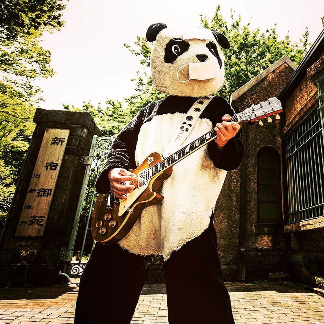 山川のりをのインスタグラム：「12月18日20時くらいから配信ライブします。ギターパンダ のライブですが、儀式以降は今度こそ座って書き込みのリクエストに答えながら歌おうと思ってます。何卒よろしく頼みます。 ピーテックスってところで配信流します。 配信チケット１８００円  申し込みは下記より https://peatix.com/event/1740250/view?k=22b6249c4c5bba5fef3866d6b226f6a5dbef74e5」