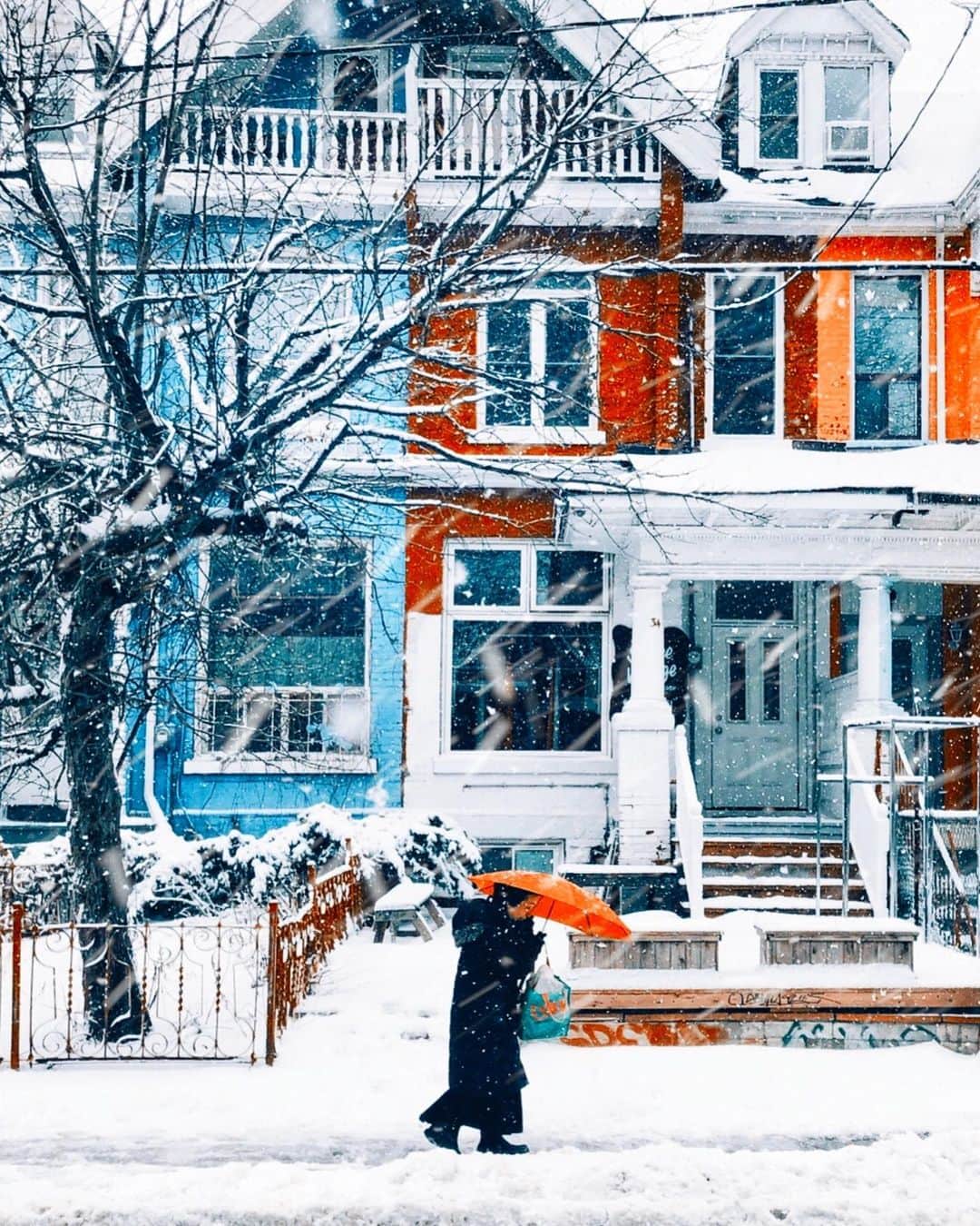 kaelのインスタグラム：「A snowy day」