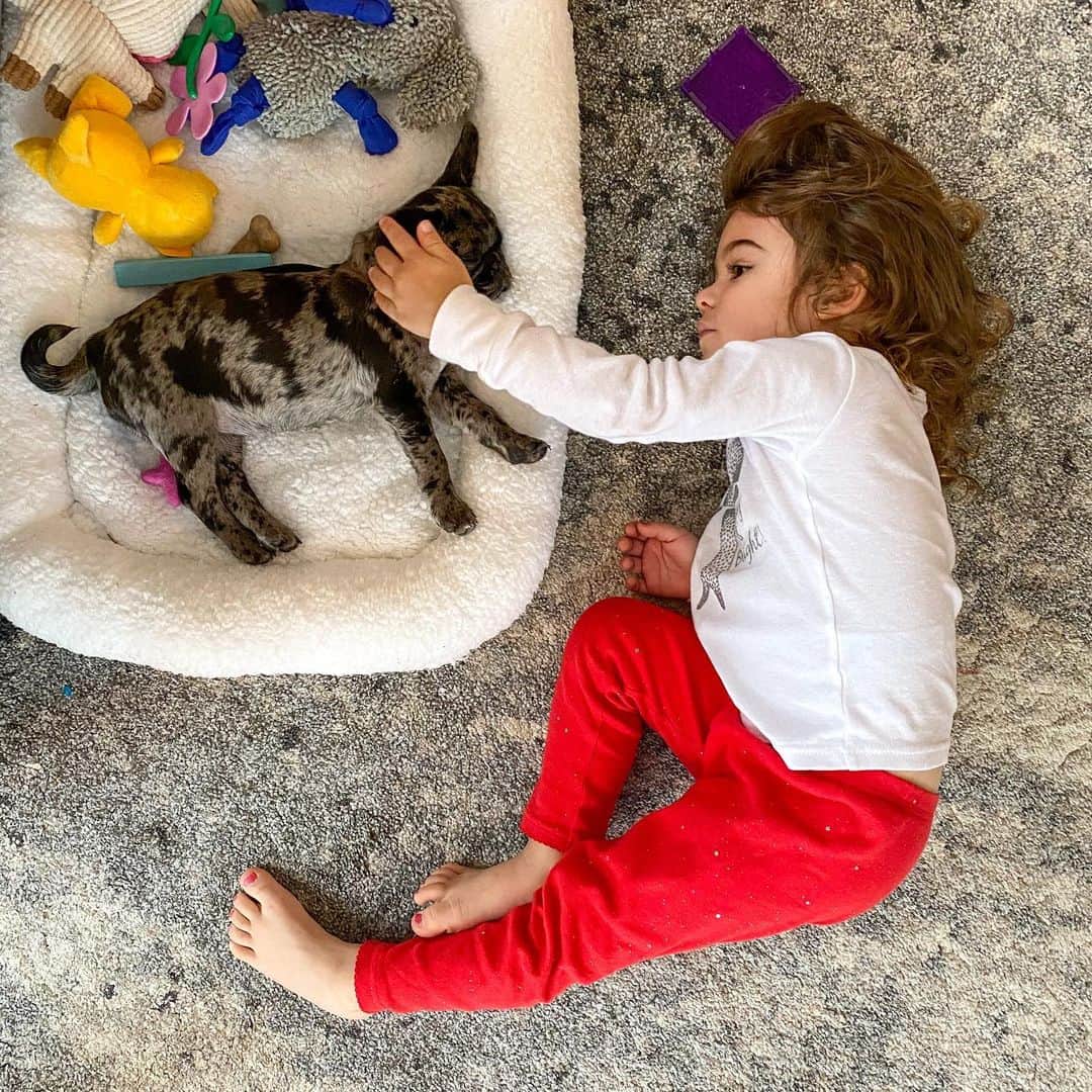 クリスティーナ・ペリーのインスタグラム：「hi friends. i couldn’t think of one thing that felt appropriate to post after my last post other than carmella and our little pug puppy, chocolate chip. she has brought a little bit of joy back into our house. honestly she hasn’t left my side. the days have been long and yet also feel like they all blend into one. we’re not ok, but we believe in a day we will be. me, paul, and carmella all wrap each other up in love and in sadness everyday. we’re learning to navigate our grief together. some days we can’t swim, some days we float fine. every day we burst into tears and every day we find moments to laugh. it’s been all the feelings, all the emotions, all the questions, all the anger, all the sadness; all day long. some moments of surrender and hope slip in there, but not often. i know that’s all normal. honestly it’s been mostly overwhelming. but also, what’s been overwhelming has been the love and support. the calls, texts, messages, emails, letters, flowers, packages, gifts, food, prayers, cards, stories and visits have been the greatest outpouring of love in my lifetime. yes, it’s been the worst experience of my life, but how bittersweet to also be the most loved i’ve ever felt at the same time. thank you. thank you to everyone we know and everyone we don’t know who has held us up and everyone who has carried us through so far. especially a heartfelt thank you to everyone who keeps showing us their own wounds and pain to help soften ours. you all have shown us a kindness we’ll never forget. we love you, so much. for now i’m going to keep staying off my social media so i can continue to heal with my family. my accounts will be run by my team and will be all about what’s coming next. the next time you hear from me my album will be ready! which, honestly, is the hopeful future self i look forward to healing back into soon. it truly is my favorite music i’ve ever made, so i am deeply excited for when the moment is right to give it to you. thank you for your patience and understanding at this time. i hope the holidays bring you joy and i hope after a year that brought us so many storms, we find only rainbows in the new one 🤍」