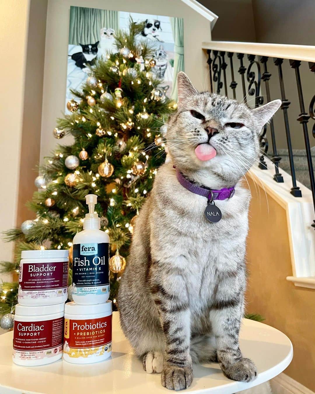 nala_catさんのインスタグラム写真 - (nala_catInstagram)「Happy holidays my friends! Give the gift of health and happiness this season and your furry babies will thank you. @ferapetorganics is the best and I trust all of their products since it’s veterinary owned and formulated. The Fish Oil is my favorite because it’s tasty and good for me. Link in bio to shop! #ferapetorganics #ad」12月9日 0時10分 - nala_cat