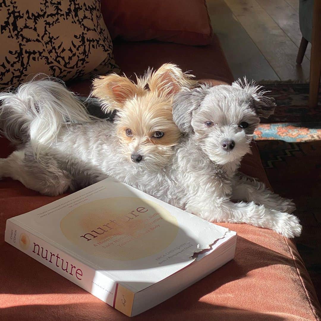 のインスタグラム：「Just a little cuteness for your feed ❤️」