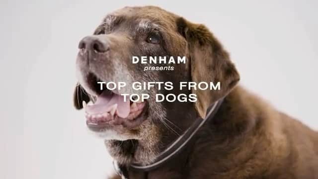 denham_japanのインスタグラム