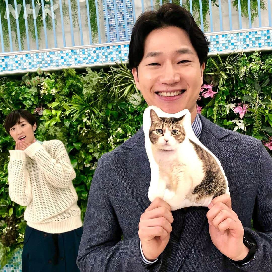 あさイチさんのインスタグラム写真 - (あさイチInstagram)「森田です。 猫が好きです。 犬も好きですが、 やっぱり猫が好きです。 というか、ウチの猫が好きです。  番組で使用したクッションは うちの猫です。 強引に全国デビューさせてしまって すみませんでした。  もう15歳。 あとどれだけ一緒にいられるかわかりませんが、 最後まで添い遂げたいと思いますニャー。  #ペット #ペットのいる生活  #猫 派？#犬 派？#🐈 #🐕 #森田洋平 アナ #近江友里恵 アナ #nhk #あさイチ #8時15分から」12月9日 11時15分 - nhk_asaichi