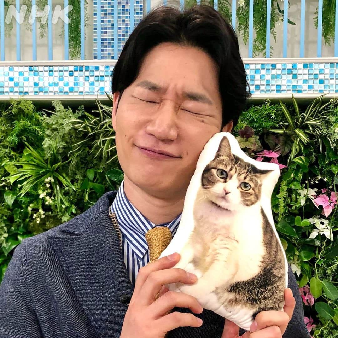 あさイチさんのインスタグラム写真 - (あさイチInstagram)「森田です。 猫が好きです。 犬も好きですが、 やっぱり猫が好きです。 というか、ウチの猫が好きです。  番組で使用したクッションは うちの猫です。 強引に全国デビューさせてしまって すみませんでした。  もう15歳。 あとどれだけ一緒にいられるかわかりませんが、 最後まで添い遂げたいと思いますニャー。  #ペット #ペットのいる生活  #猫 派？#犬 派？#🐈 #🐕 #森田洋平 アナ #近江友里恵 アナ #nhk #あさイチ #8時15分から」12月9日 11時15分 - nhk_asaichi