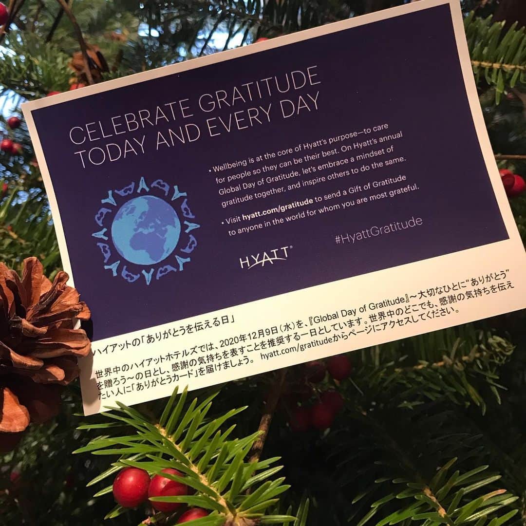 ハイアット リージェンシー 箱根 リゾート＆スパのインスタグラム：「12月9日（水）はハイアットの「ありがとうを伝える日」です。日頃からの感謝の気持ちを表す1日として推奨しています。日頃、思っていてもなかなか言葉にできなかったり、、という時もありますよね。でも、今日は是非 “ありがとう”を大切な人へ感謝の気持ちを込めて伝えてみてはいかがでしょうか？⁣ hyatt.com/gratitudeからページにアクセスして、ありがとうの思いをのせてデジタルカードでメッセージをお送りください。⁣素敵な1日でありますように。 ⁣ ⁣ #hakone #箱根 #mountains #ホテル #リゾートホテル #日本 #japan #温泉#onsen #onsen♨️ #resort #luxury #hyattregencyhakone #ハイアットリージェンシー箱根 #hyatt #ハイアット #hyattregency #worldofhyatt #ありがとうを伝える日 #hyattgratitude⁣」
