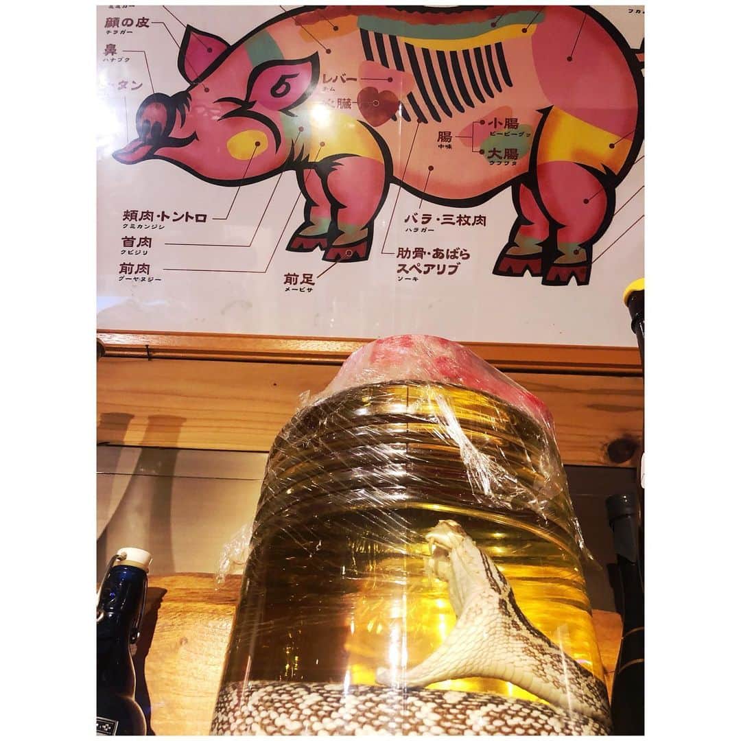 幸太のグルメインスタ