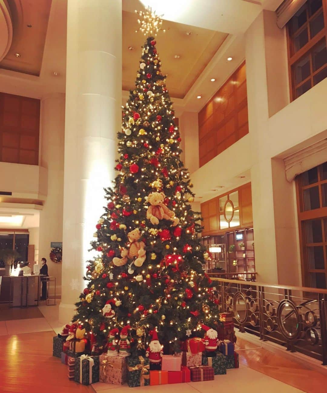 のインスタグラム：「【9】Hilton Tokyo Odaiba🎄 📷 @ehot_cat 🐈 お台場のヒルトンツリーには大きなくまちゃん🧸❣️ #christmastreehunting2020 #ツリー狩り #風物詩 #借り物写真 #新しい様式でのツリー狩りな気がしてきた #ここまで借り物ばかりだと」