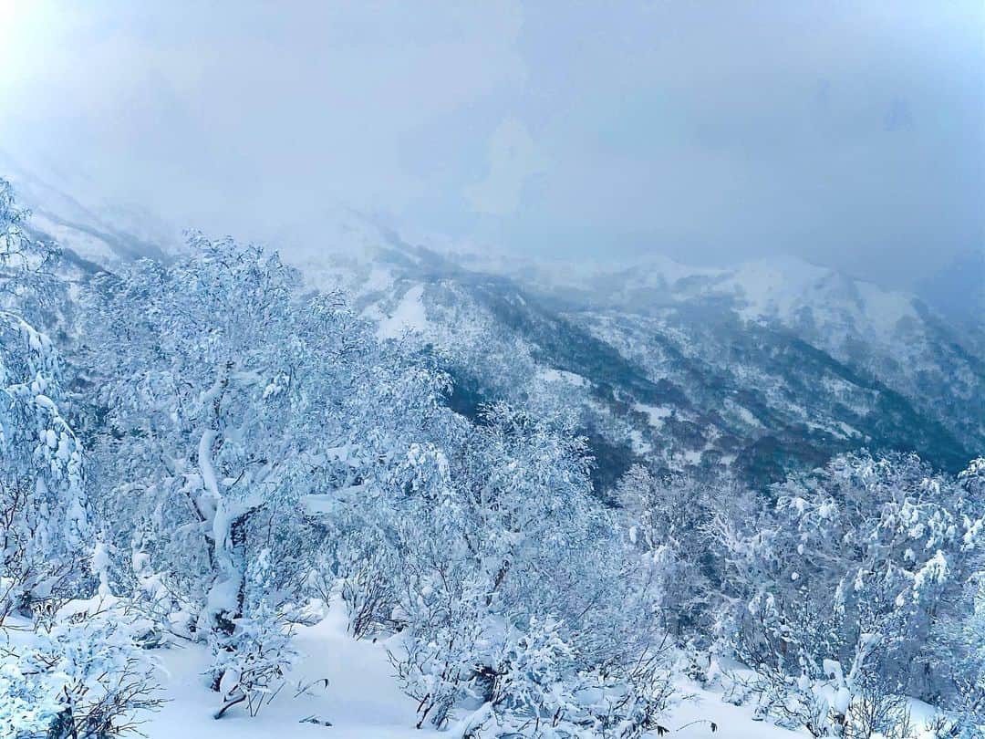 杉本美友さんのインスタグラム写真 - (杉本美友Instagram)「・ 空気が澄んでて音が無くて、 すーーって感じ、色々考えられます❄️ ・ #雪#氷#山#冬#❄️#🧊#風景#camera  #雪山#北の国から#instagood#japan#winter#snow」12月9日 11時49分 - miyugram0703