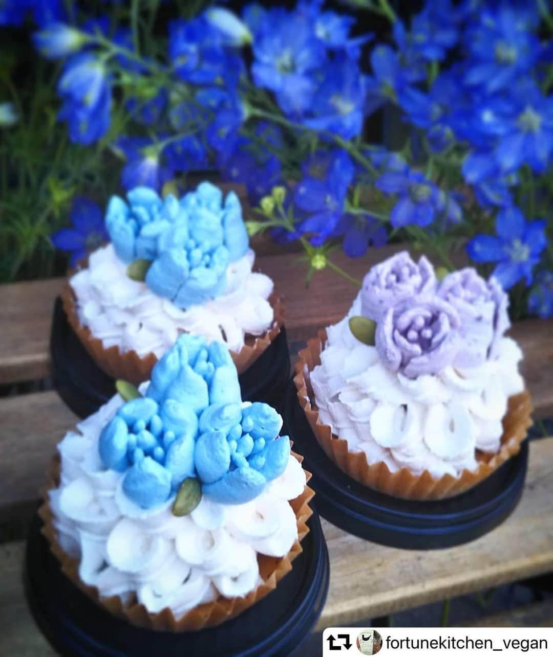 のインスタグラム：「@fortunekitchen_vegan さま、リポストです😊 . ナチュラルカラーで こんなに鮮やかな色が出せること、 幸せですよね💙💠💙  . 美しくてヘルシーでおいしそうです😍✨💙 . #スピルリナ　#スピルリナ青　#フィコシアニン　#dicスピルリナ  #spirulina #linablue  . ↓ . 2020.11.21  vegan flower cakes  フォーチュンキッチンは  お花屋さんの中にあります。  ✢本日のケーキ、補充分も完売致しました。  申し訳ございません。  ひとつひとつ、ひとりで手作りしています。  あまりたくさんはご準備出来ないので、  ご希望のケーキがございましたら  お電話でのお取りおきもおすすめです。  どうぞよろしくお願い致します。  #フラワーケーキ #flowercake #リナブルー #instasweets #vegan #vegetarian #vegansweets #macrobiotics #fukuokavegan #fukuokasweets #ヴィーガン #福岡ヴィーガン #豆乳スイーツ #卵不使用 #乳製品不使用 #白砂糖不使用 #アレルギー対応 #グルテンフリー対応可 #福岡市ヴィーガンスイーツショップ #米粉スイーツ #グルテンフリースイーツ #福岡アレルギー対応ケーキ #フォーチュンキッチン」