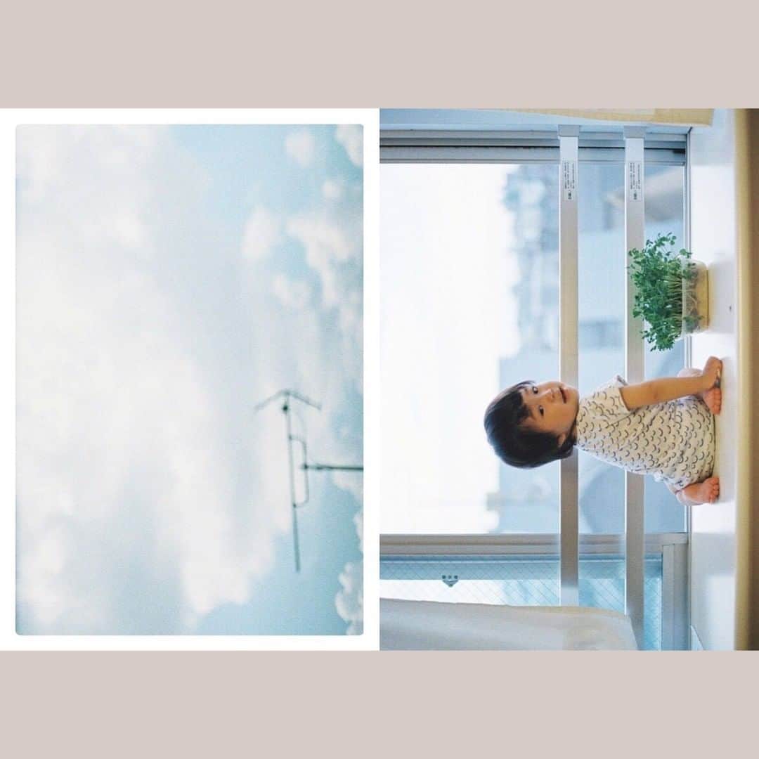 Photobackさんのインスタグラム写真 - (PhotobackInstagram)「毎月スタッフが特に気になった作品をピックアップしてご紹介する「今月の一冊」📕  . 今月の一冊は、おおしたなつかさんの作品「Film days」です😊 . 日常の中にひそむ一瞬のあどけない表情をとらえた フィルムならではのあたたかさがつたわってくる一冊です。 . ページいっぱいに横向きに配置された 斬新なレイアウトが思わず見入ってしまいます✨ . 後半にある総集編ページの中には お子さまのたくさんの表情がつまっていて みていてあたたかい気持ちになります😊💓 . 今月の一冊「Film days」を すべてご覧になりたい方は、 @photoback.jp 本日のストーリーズ、 またはハイライトの「今月の一冊」をチェック！ 公開サイトにアクセスできます👀✨ . #photoback #フォトバック #フォトアルバム #フォトブック #アルバム #フォトブック作成 #フォトブックづくり #photoback今月の一冊 #photoback作品紹介2020 #みんなのphotoback #思い出 #LIFE #Filmdays #フィルム写真 #フィルム #フィルムカメラ #日常 #親子 #家族 #こどもと暮らす #こどものいる暮らし」12月9日 12時15分 - photoback.jp