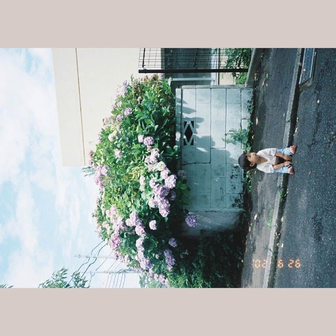 Photobackさんのインスタグラム写真 - (PhotobackInstagram)「毎月スタッフが特に気になった作品をピックアップしてご紹介する「今月の一冊」📕  . 今月の一冊は、おおしたなつかさんの作品「Film days」です😊 . 日常の中にひそむ一瞬のあどけない表情をとらえた フィルムならではのあたたかさがつたわってくる一冊です。 . ページいっぱいに横向きに配置された 斬新なレイアウトが思わず見入ってしまいます✨ . 後半にある総集編ページの中には お子さまのたくさんの表情がつまっていて みていてあたたかい気持ちになります😊💓 . 今月の一冊「Film days」を すべてご覧になりたい方は、 @photoback.jp 本日のストーリーズ、 またはハイライトの「今月の一冊」をチェック！ 公開サイトにアクセスできます👀✨ . #photoback #フォトバック #フォトアルバム #フォトブック #アルバム #フォトブック作成 #フォトブックづくり #photoback今月の一冊 #photoback作品紹介2020 #みんなのphotoback #思い出 #LIFE #Filmdays #フィルム写真 #フィルム #フィルムカメラ #日常 #親子 #家族 #こどもと暮らす #こどものいる暮らし」12月9日 12時15分 - photoback.jp