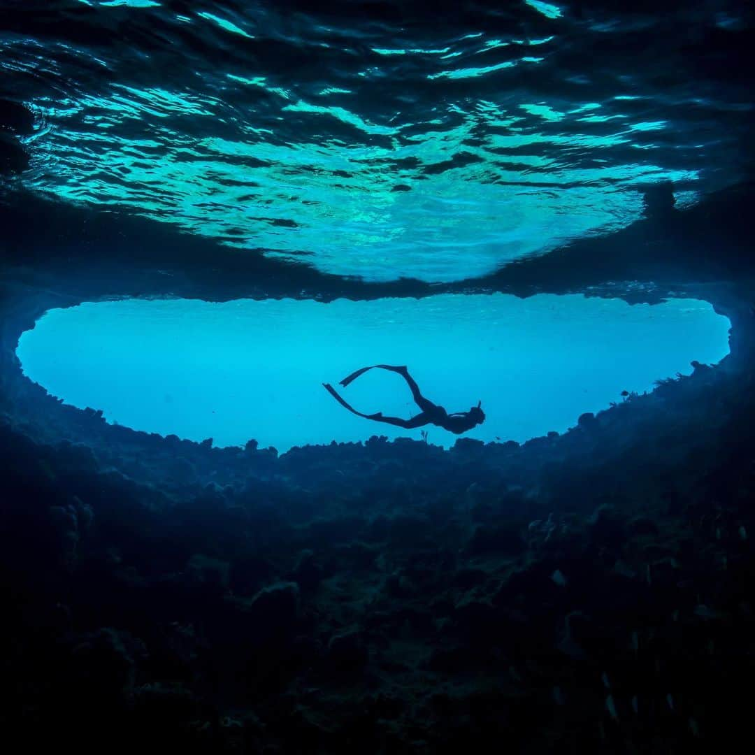 ヴァレンティン・トーマスさんのインスタグラム写真 - (ヴァレンティン・トーマスInstagram)「One of my favorite photos 🥰 I feel it really shows the unique peacefulness that you can experience underwater. As an overachiever and an over-thinker, those moments really changed my life and the perception I had of the world. ⠀ 📷 @j.kowitz  ⠀ #chillthefuckout #peacefulmoments #breath #breathwork #controlledbreathing #freediving #underwaterphotography #padi」12月9日 4時53分 - valentinethomas